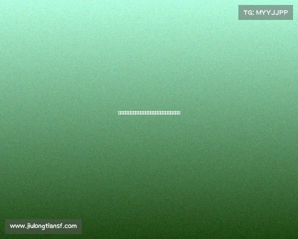 英超拉美球员风采：突破与挑战下的竞技传奇与文化交融