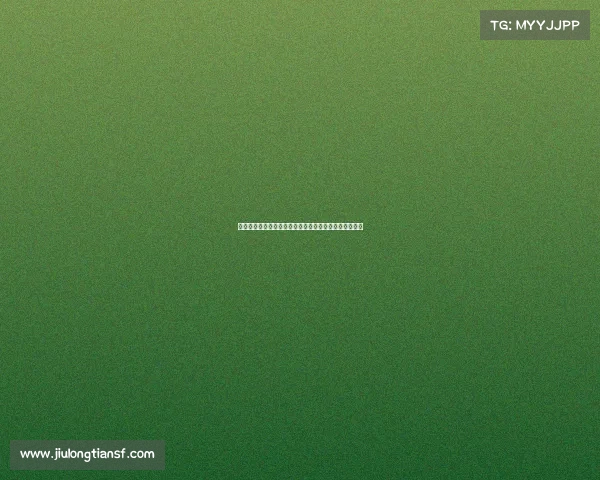 西汉姆联崛起之路:从英超保级队到欧洲赛场的强劲挑战 西汉姆联崛起之路:从英超保级队到欧洲赛场的强劲挑战