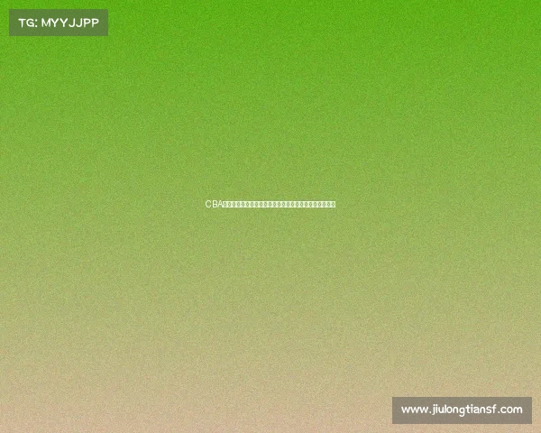 CBA门票热销引发球迷热潮如何通过官方渠道购买到心仪座位